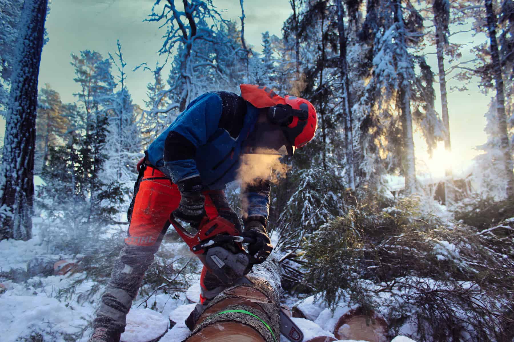 Uppröjning av stormfälld skog