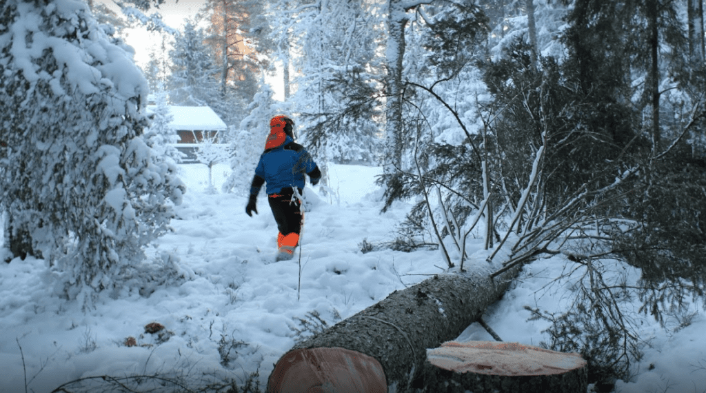 Säker trädfällning med Djupeskog Trädfällning AB