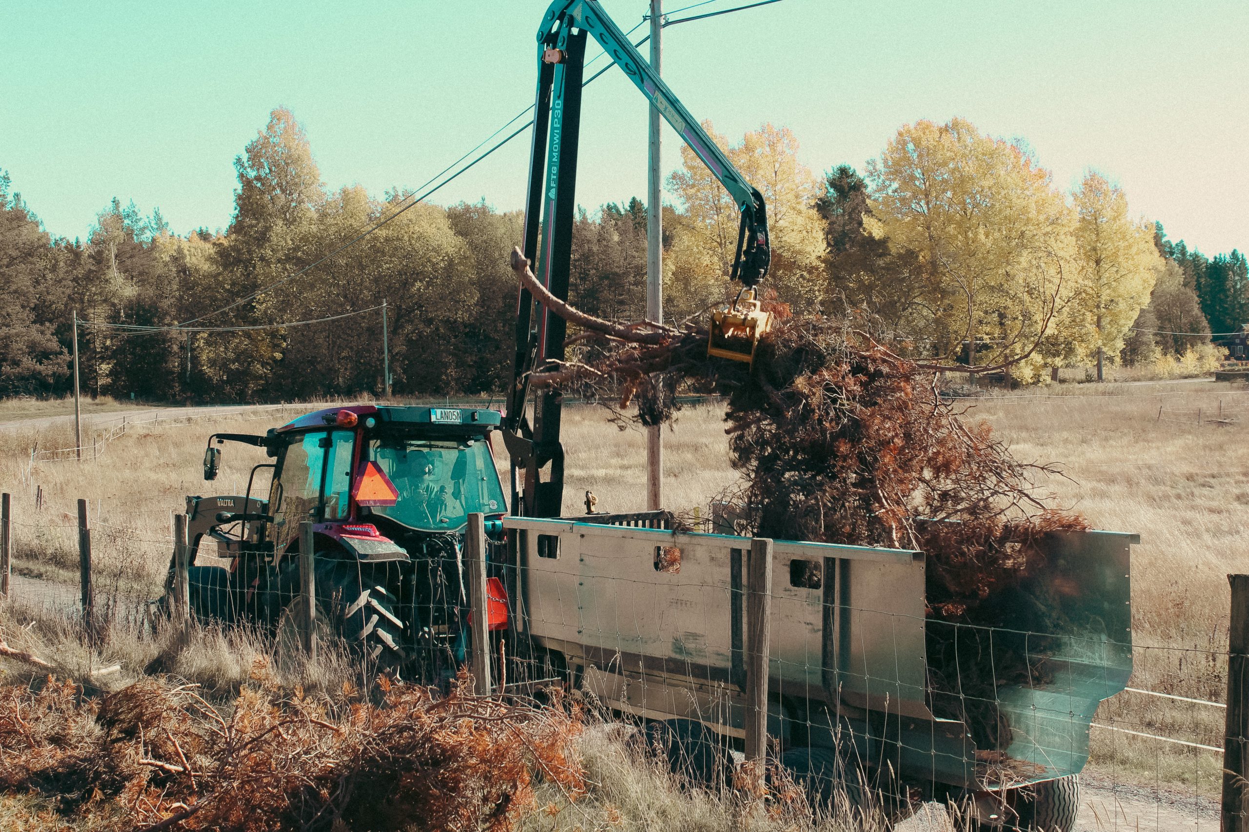 Bortforsling av Djupeskog Trädfällning