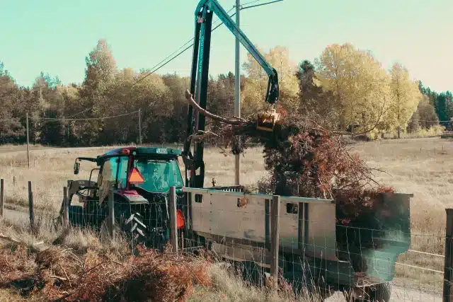 En traktor drar en släpvagn full av grenar längs en grusväg i skogen. Traktorn har en kraftfull motor och en robust släpvagn för att enkelt transportera bort grenar och annat avfall från skogsområdet. Lär och utforska våra tjänster och erbjudanden.