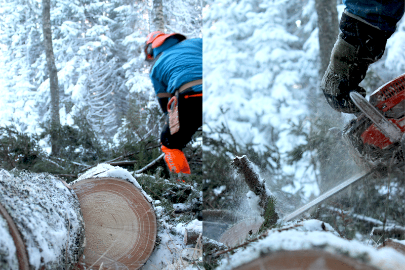 Djupeskog Trädfällning AB