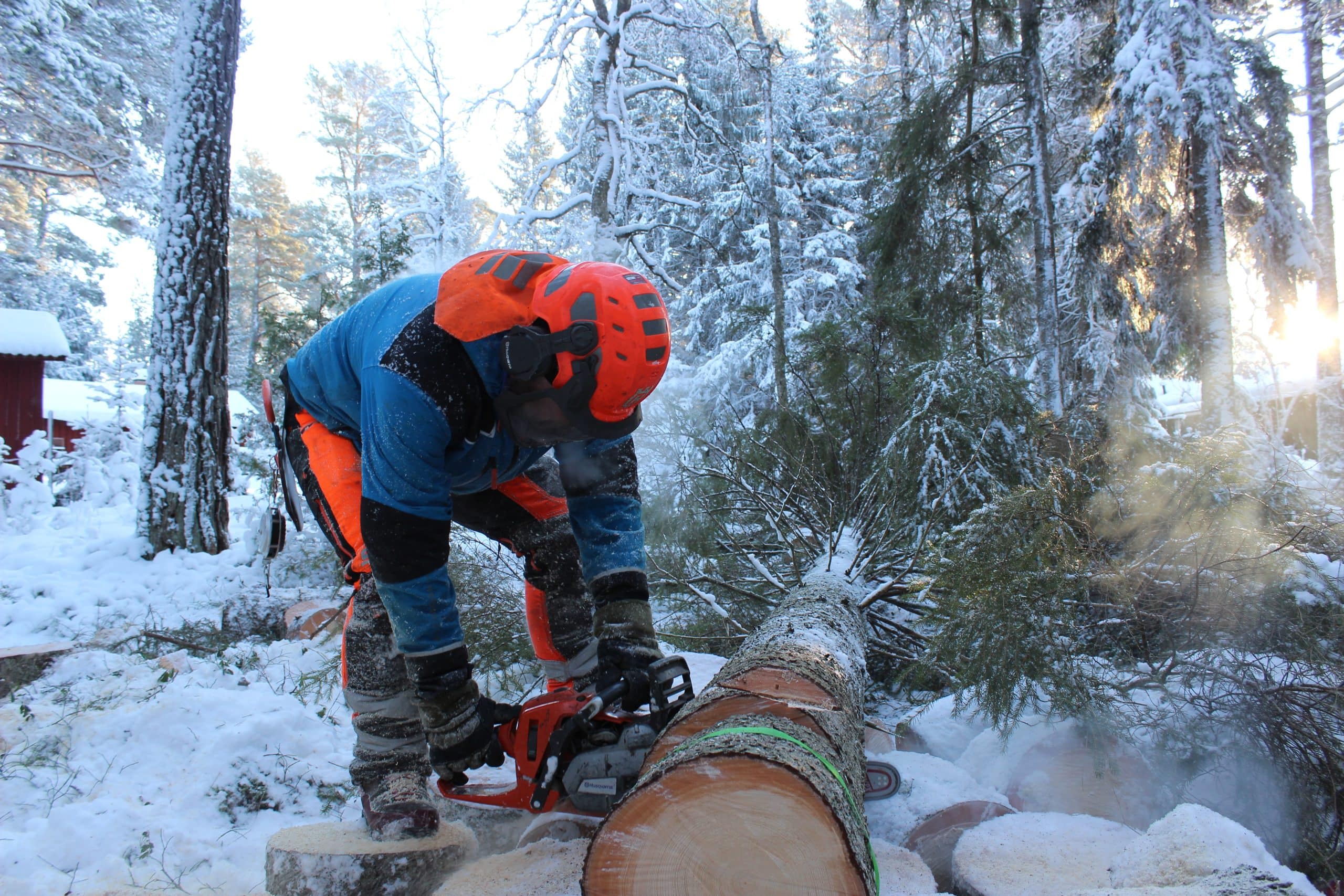 Trädfällning Ljusterö - Djupeskog Trädfällning erbjuder erfarna arborister som tar hand om träden med precision.
