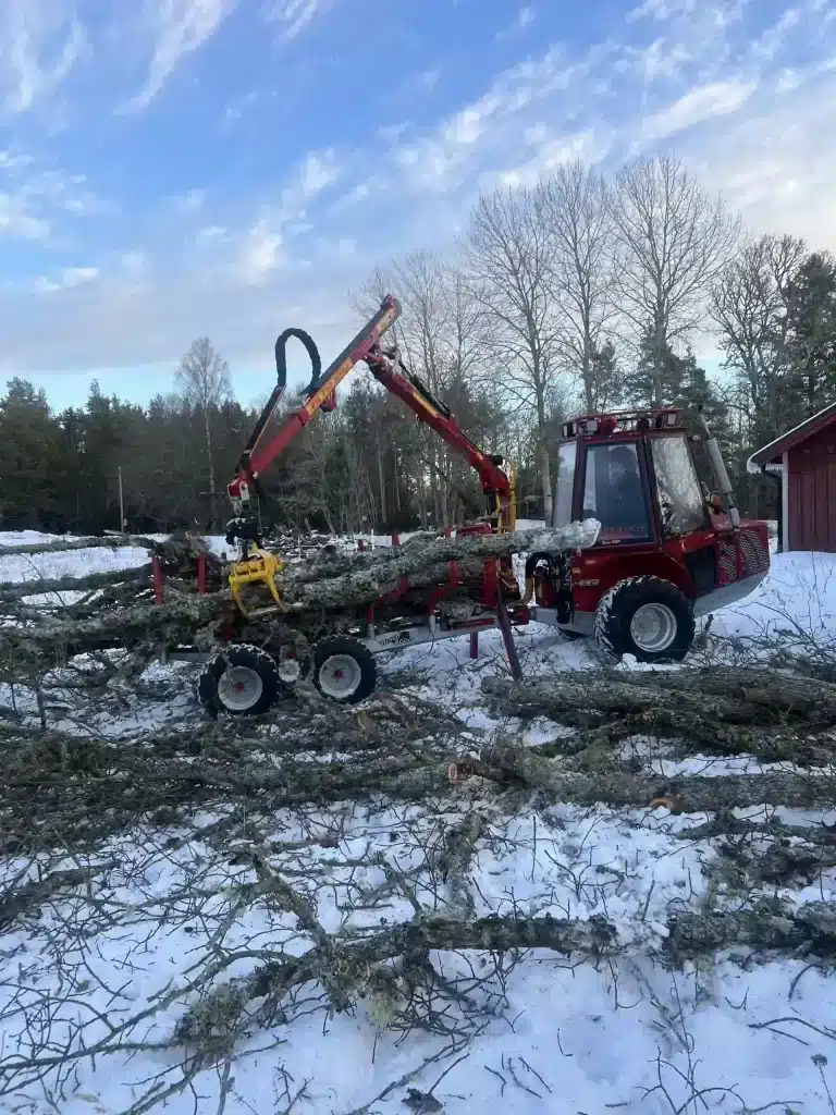 Bortforsling efter trädfällning med skotare av Djupeskog Trädfällning i Norrtälje