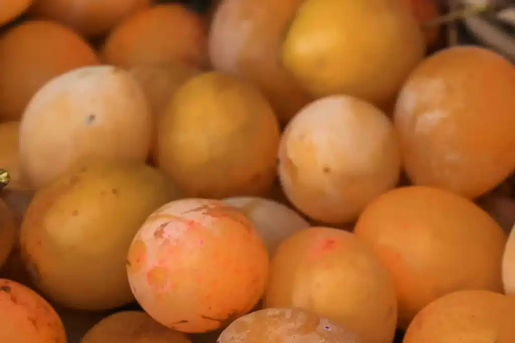Plommonträd ger ofta så mycket frukt att det kan vara svårt att hinna äta upp allt.