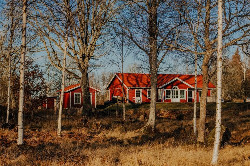 trädfällning-, arborist-, och trädgårdstjänster kapellskär, roslagen