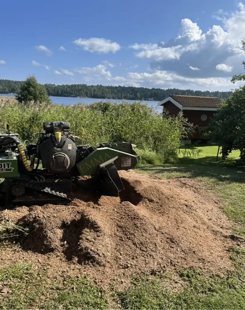 En stubbfräs som tagit bort en stor stubbe på en strandtomt i Norrtälje skärgård.