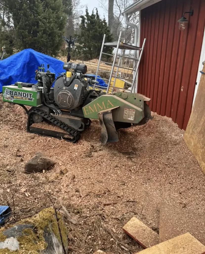 Stubbfräs i arbete i trädgård och parkmiljö